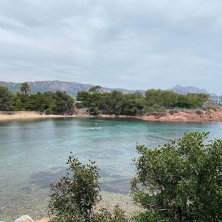 St Raphael 37M2, Piscine, Wifi, Commerces Mer 5Mn A Pieds Saint-Raphaël エクステリア 写真
