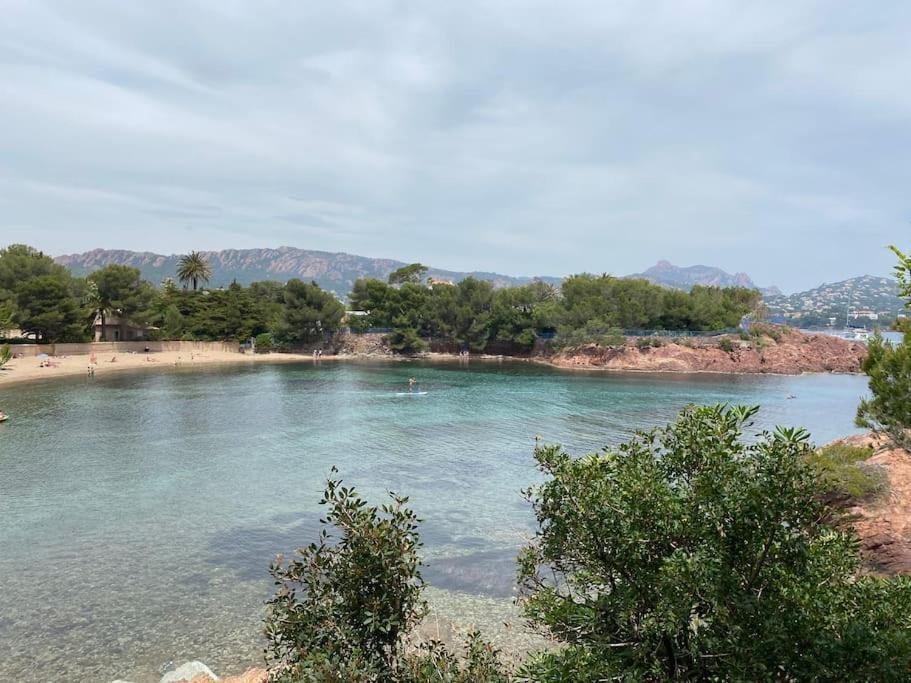 St Raphael 37M2, Piscine, Wifi, Commerces Mer 5Mn A Pieds Saint-Raphaël エクステリア 写真