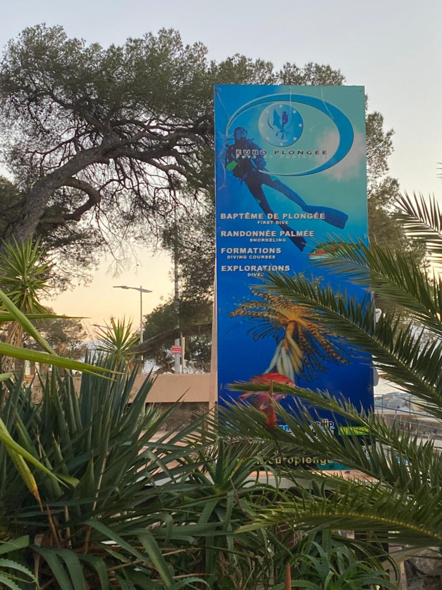 St Raphael 37M2, Piscine, Wifi, Commerces Mer 5Mn A Pieds Saint-Raphaël エクステリア 写真